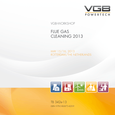 Flue Gas Cleaning 2013 - Print